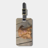 Vizsla puppy bagagelabel (Voorkant verticaal)