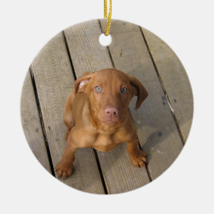 Vizsla puppy keramisch ornament