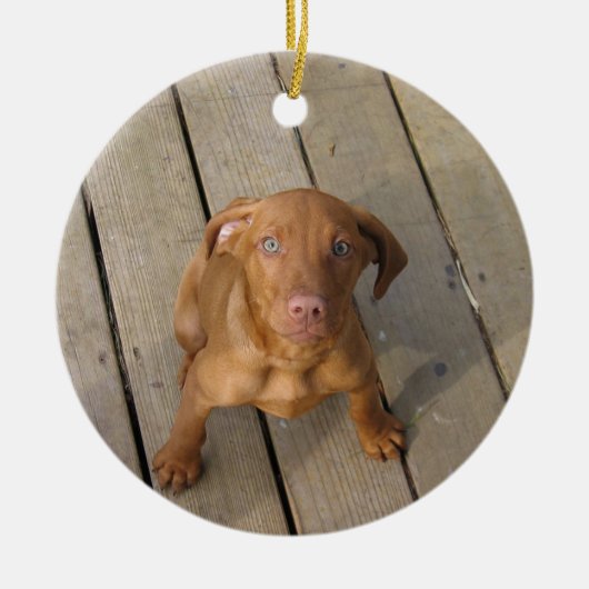 vizsla puppy keramisch ornament (Voorkant)