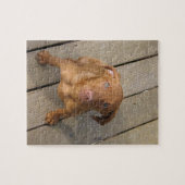 vizsla puppy legpuzzel (Horizontaal)