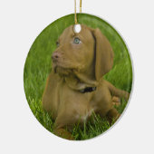 Vizsla puppy Ornament (Links)