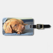 Vizsla puppy Rust op zijn poot Bagagelabel (Voorkant horizontaal)