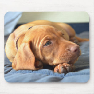 Vizsla puppy Rust op zijn poot Muismat