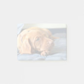 Vizsla puppy Rust op zijn poot Post-it® Notes (Voorkant)