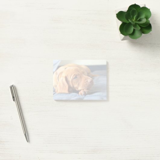 Vizsla puppy Rust op zijn poot Post-it® Notes (Kantoor)