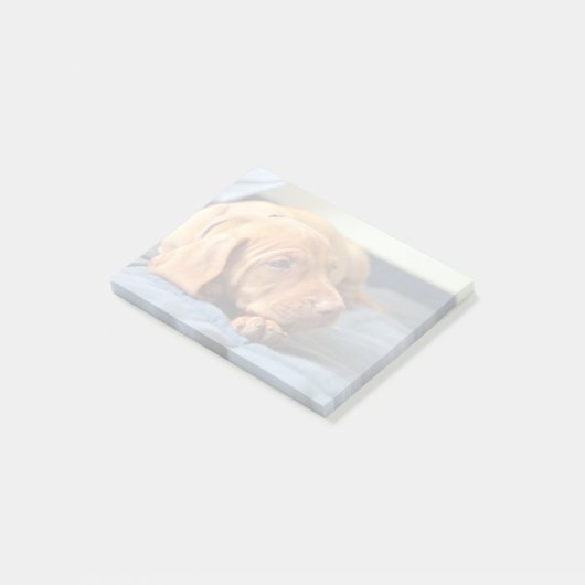 Vizsla puppy Rust op zijn poot Post-it® Notes (Schuin)