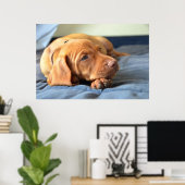Vizsla puppy Rust op zijn poot Poster (Thuiskantoor)