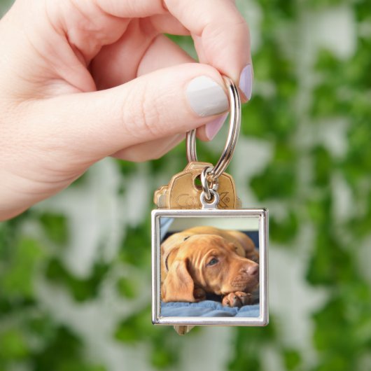 Vizsla puppy Rust op zijn poot Sleutelhanger (Hand)