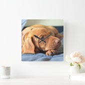 Vizsla puppy Rust op zijn poot Vierkante Klok (Huis)