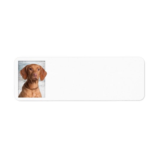 Vizsla Return Address Labels (Voorkant)