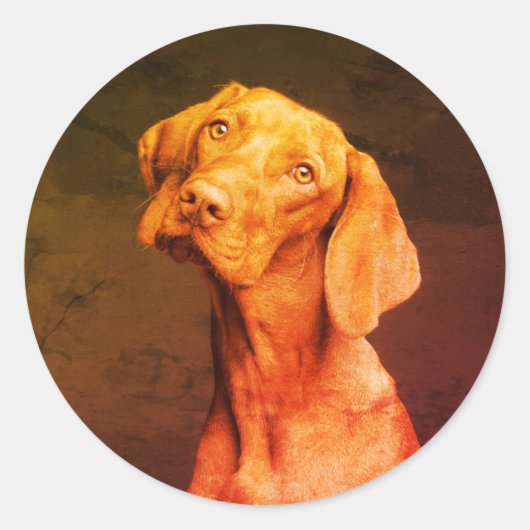 Vizsla Ronde Sticker (Voorkant)