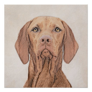 Vizsla-schildering - Cute Original Dog Art Perfect Poster