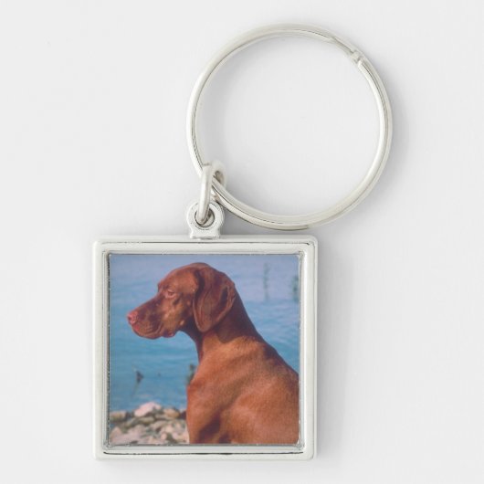 Vizsla Sleutelhanger (Voorkant)