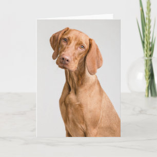 Vizsla Sporting Dog Bedankkaart