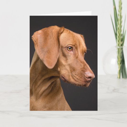 Vizsla Sporting Dog Bedankkaart (Voorkant)