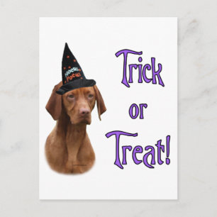 Vizsla Trick Briefkaart