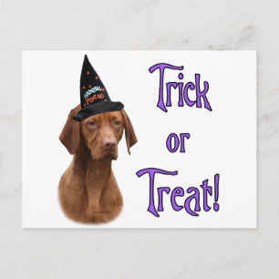 Vizsla Trick Briefkaart