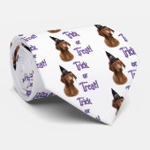 Vizsla Trick Stropdas (Opgerold)