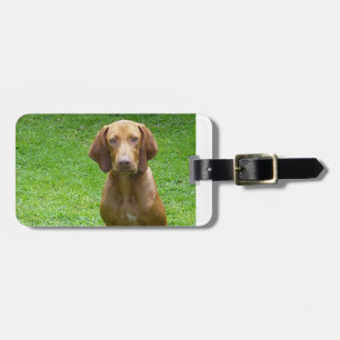 vizsla , vergadering .png bagagelabel