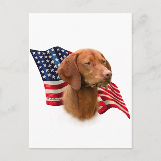 Vizsla Vlag Briefkaart (Voorkant)