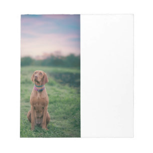 vizsla zittend notitieblok