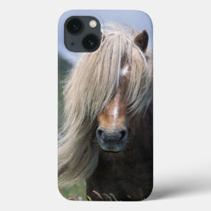 VK, Schotland, Shetlandeilanden, Shetlandpony iPhone 13 Hoesje