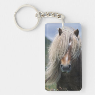 VK, Schotland, Shetlandeilanden, Shetlandpony Sleutelhanger