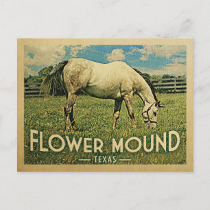 Vlaams Mound Texas Horse Boerderij - Vintage Trave Briefkaart