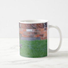 Vlaamse gaai koffiemok