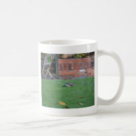 Vlaamse gaai koffiemok