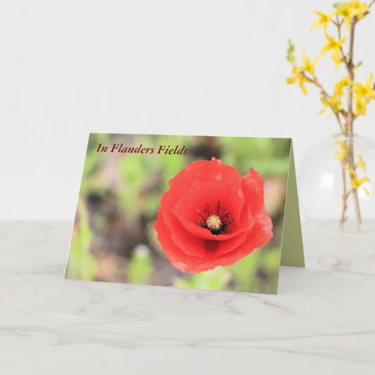 Vlaamse velden klaproos foto en gedicht kaart (Gele Bloem)