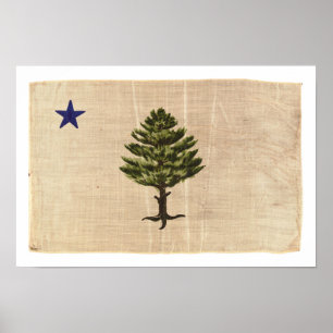  vlag 1901 (groot) poster