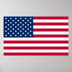 Vlag Amerikaans land Poster
