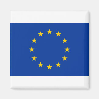 Vlag Europese Unie Magneet