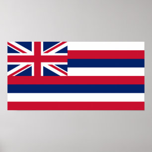 Vlag Hawaii Poster