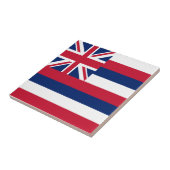 Vlag Hawaii Tegeltje (Zijkant)