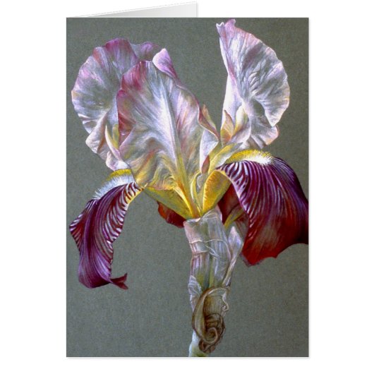 Vlag Iris botanische bloemenblanco (Voorkant)