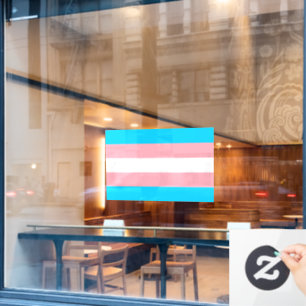 Vlag LGBTQIA+ Raamsticker