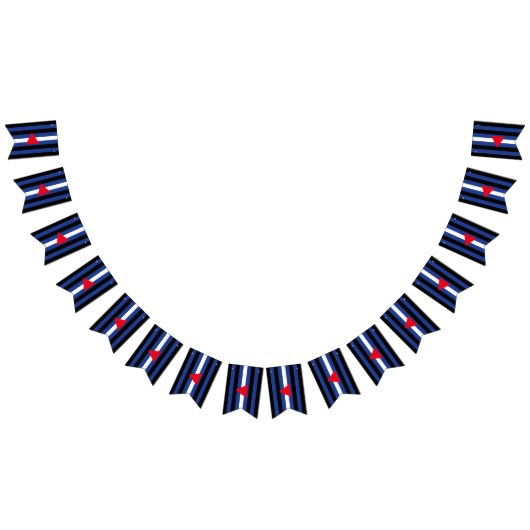 Vlag met lederen queer vlaggetjes (Alle)