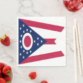 Vlag Ohio-staat Servet (Insitu)