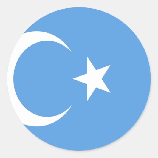 Vlag Oost-Turkestan Oeigoer Ronde Sticker (Voorkant)