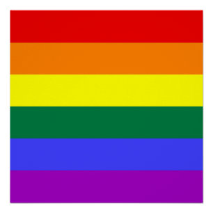 Vlag regenboogpride perfect poster
