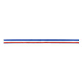 Vlag Schleswig-Holstein Lint (Voorkant)