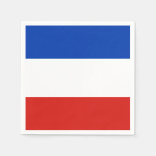 Vlag Schleswig-Holstein Paper Napkins Servet