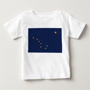 Vlag van Alaska