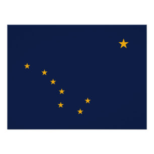 Vlag van Alaska Perfect Poster