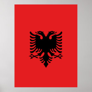 vlag van Albanië Poster