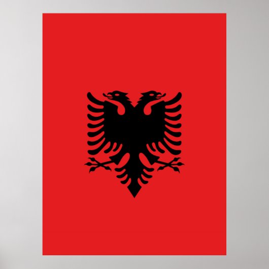 vlag van Albanië Poster (Voorkant)