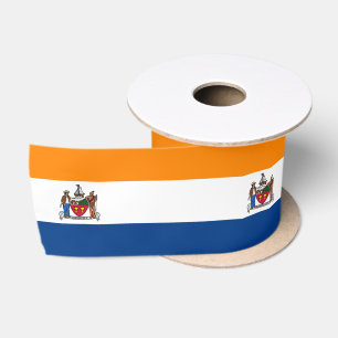 Vlag van Albany, New York Lint