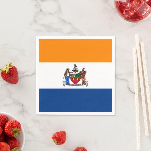 Vlag van Albany, New York Servet (Insitu)